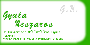 gyula meszaros business card